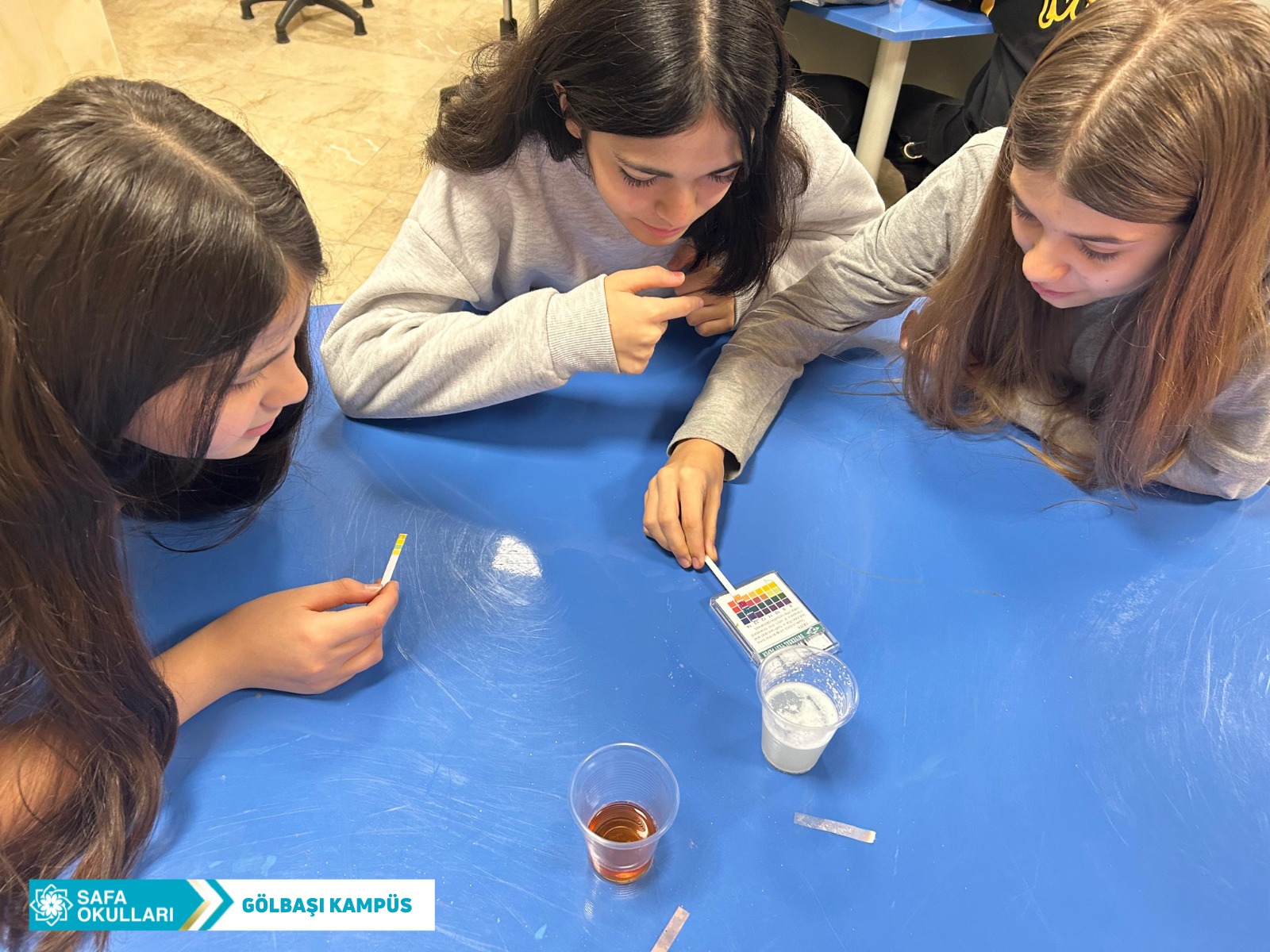 'ASİTLER VE BAZLAR' DENEYİMİZ