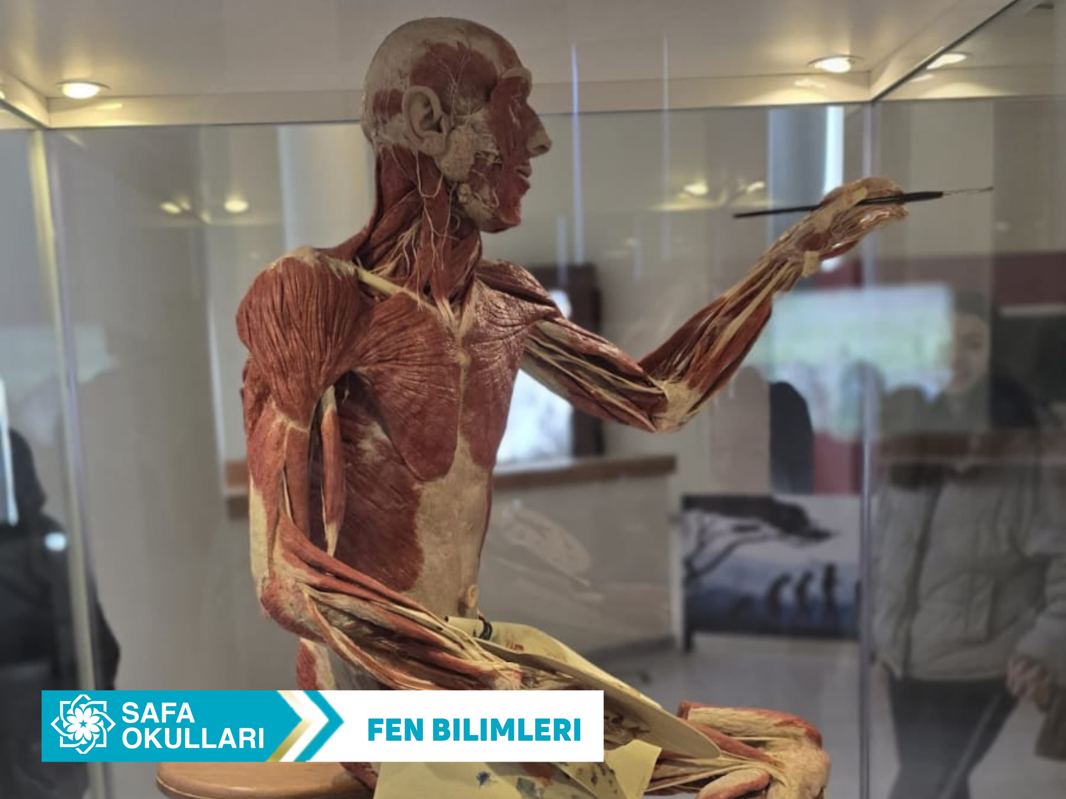 FEN BİLİMLERİ DERSİ