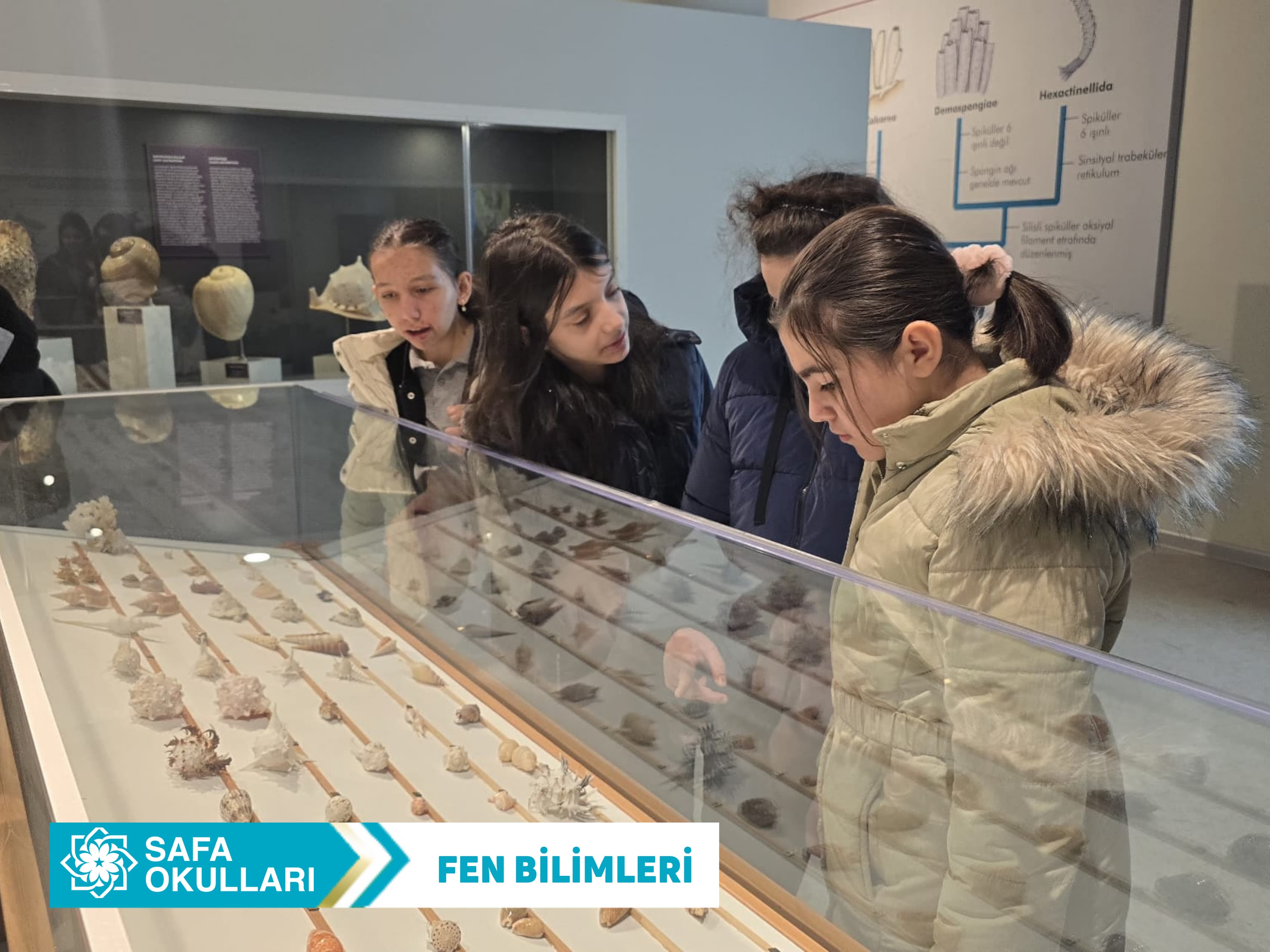 FEN BİLİMLERİ DERSİ