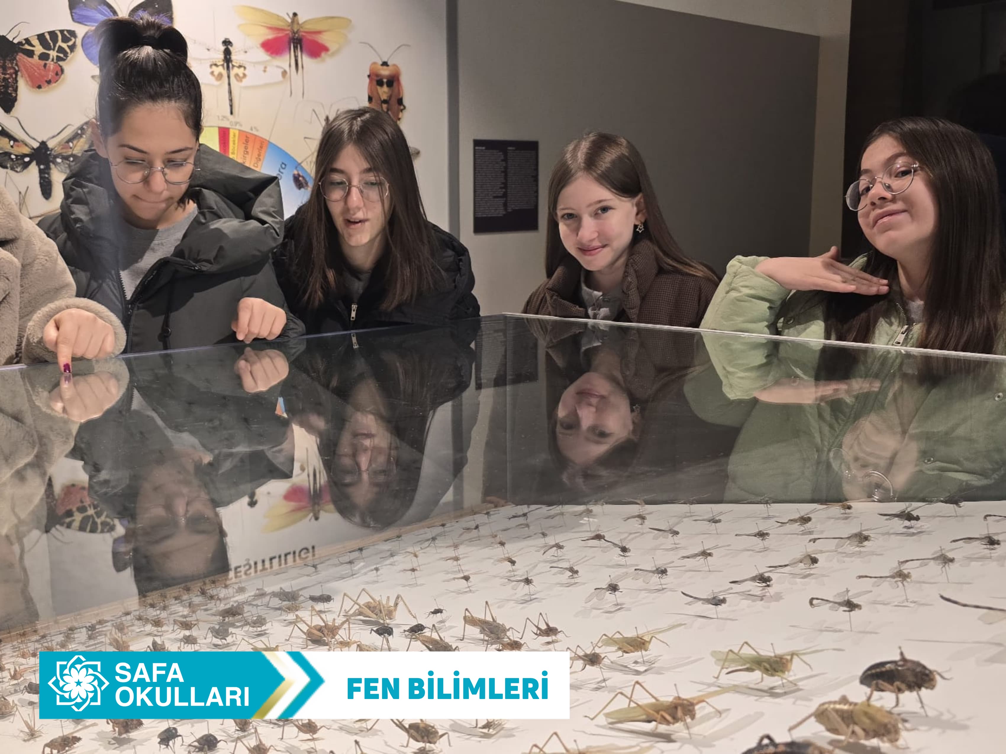 FEN BİLİMLERİ DERSİ