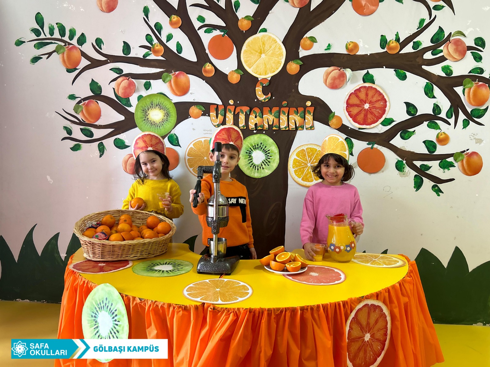 C VİTAMİNİ PARTİSİ