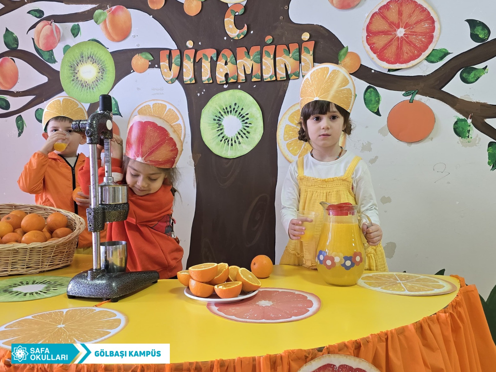 C VİTAMİNİ PARTİSİ