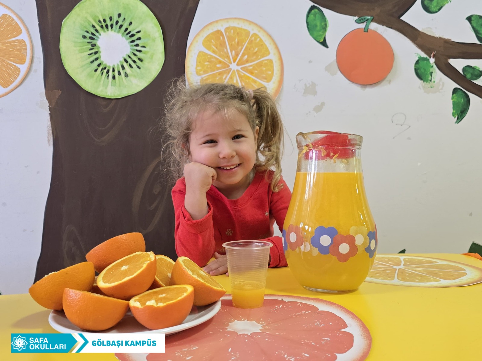 C VİTAMİNİ PARTİSİ