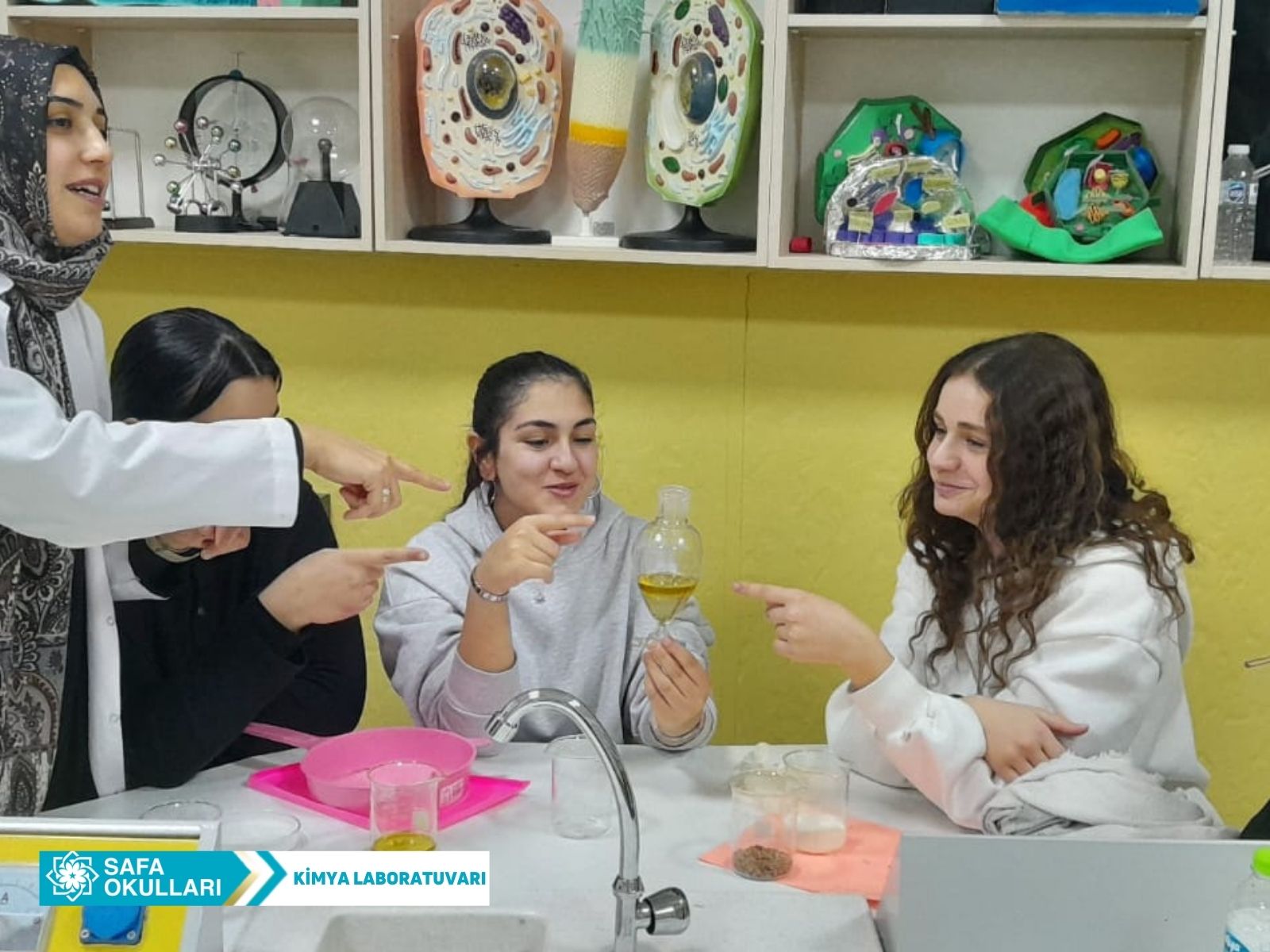 HOMOJEN-HETEROJEN DENEYİ