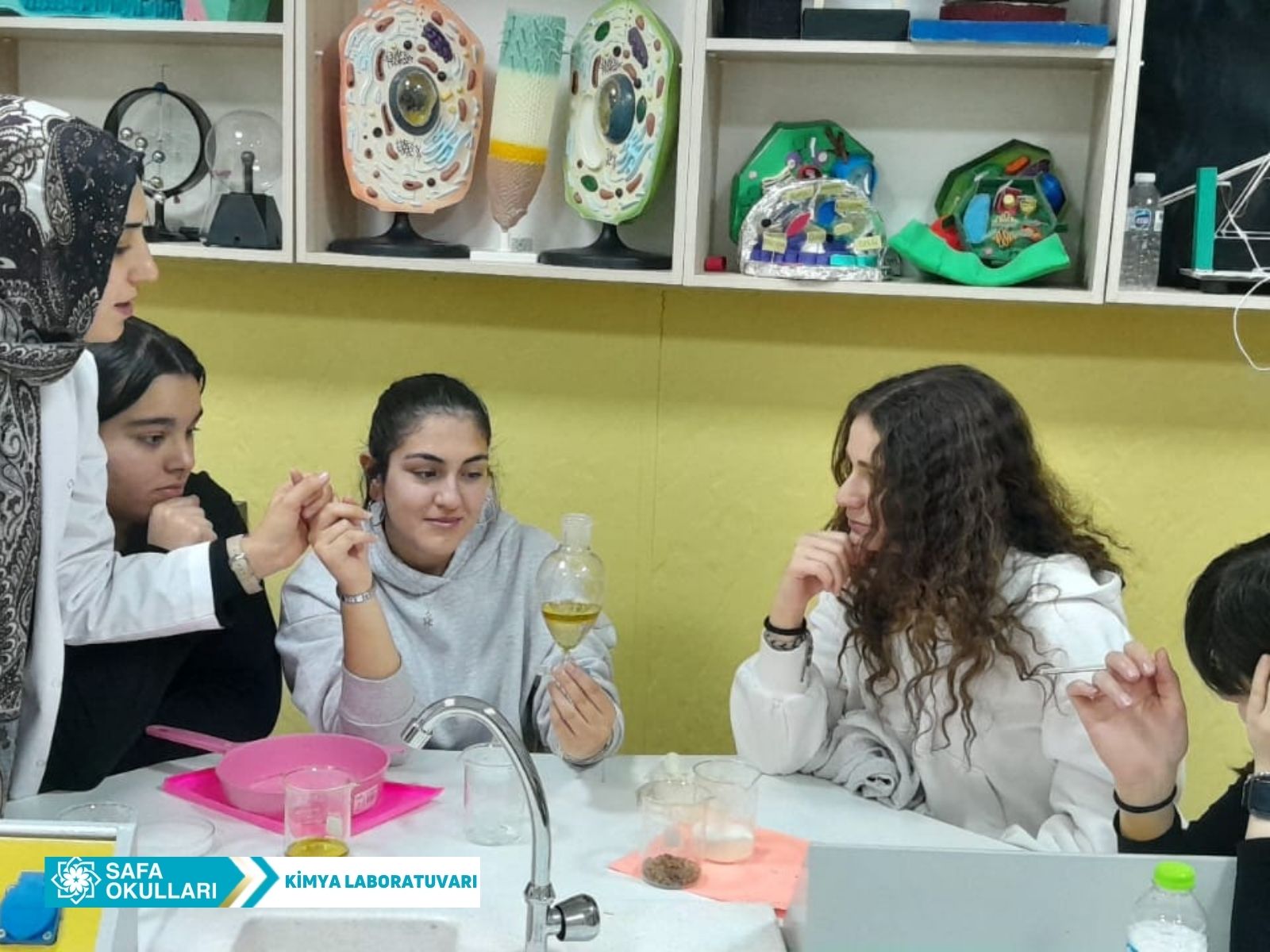 HOMOJEN-HETEROJEN DENEYİ