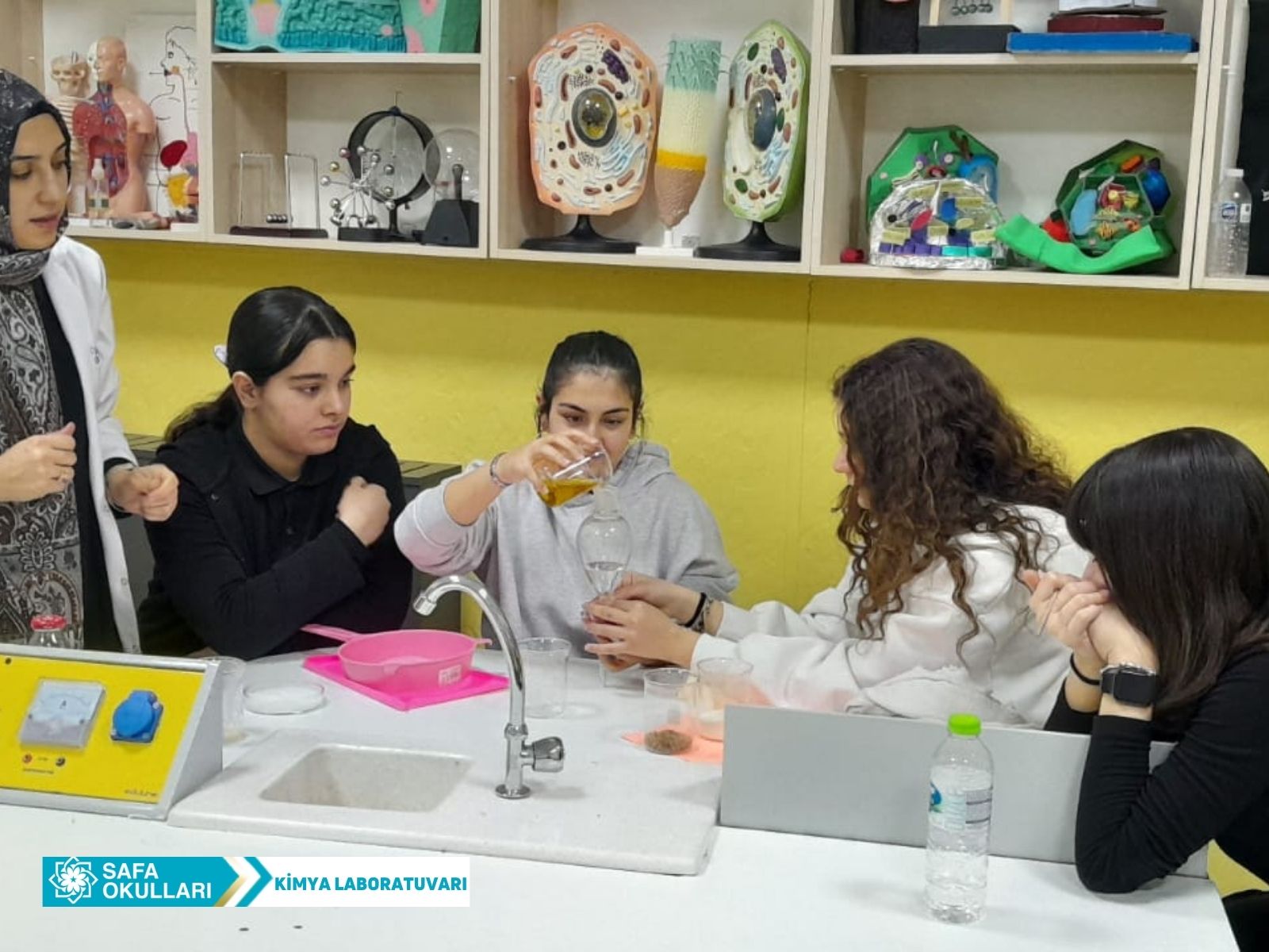 HOMOJEN-HETEROJEN DENEYİ