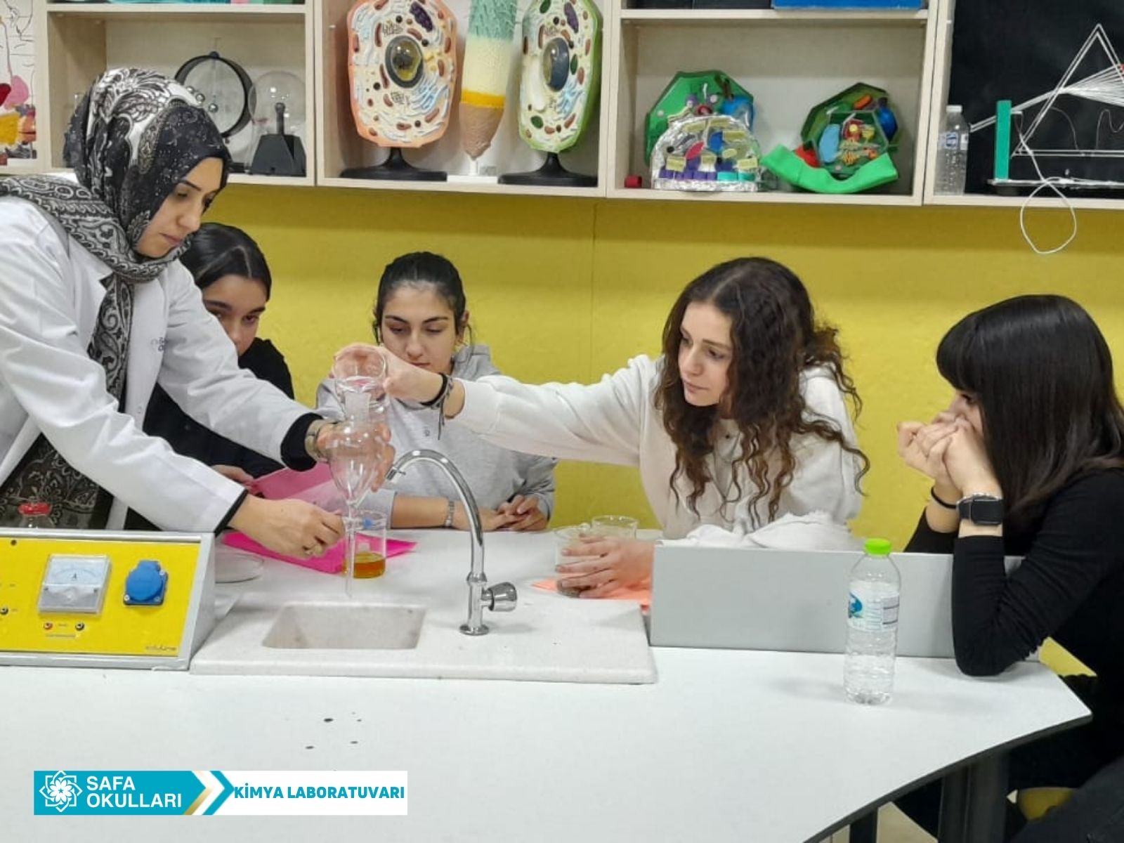 HOMOJEN-HETEROJEN DENEYİ