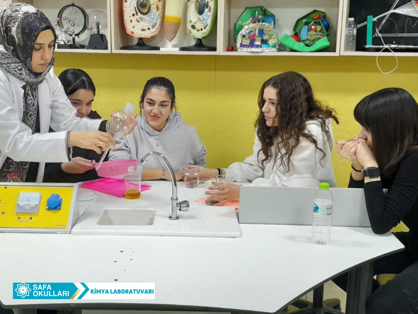 HOMOJEN-HETEROJEN DENEYİ