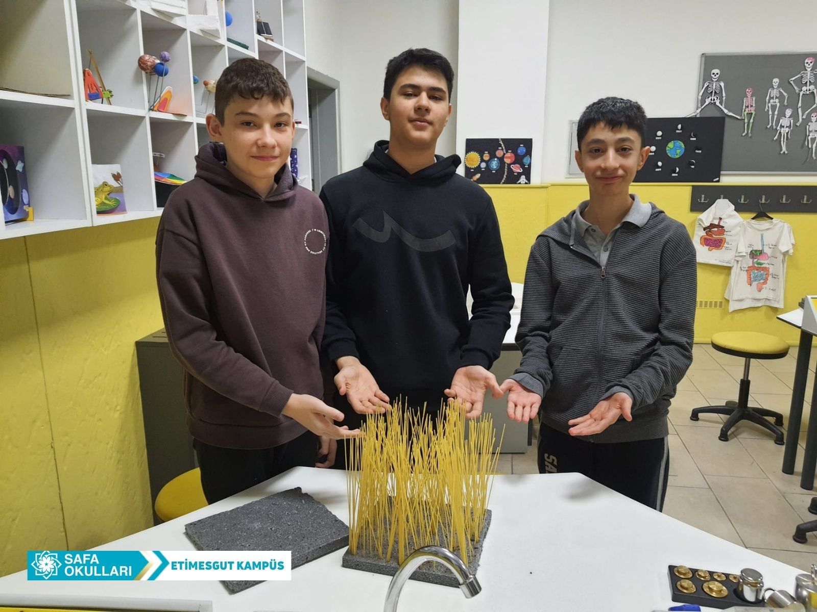 KATI BASINCI DENEYİ