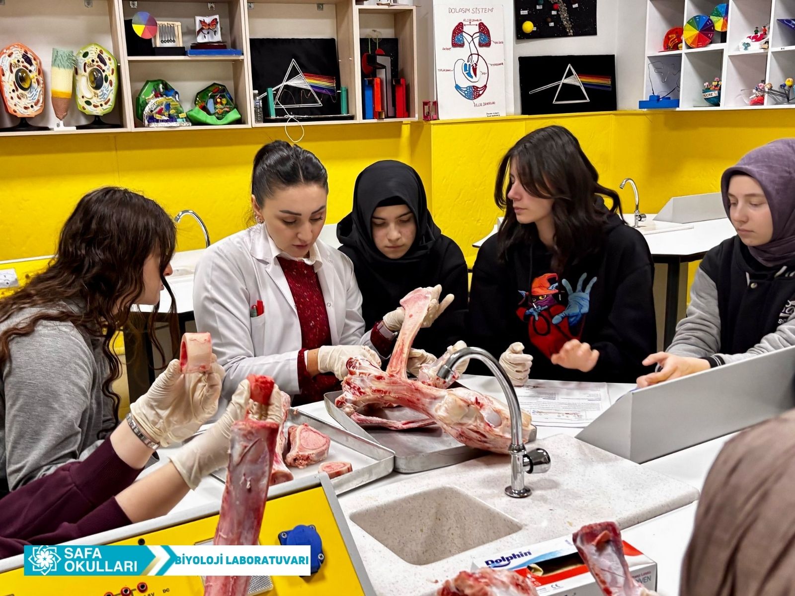 DESTEK VE HAREKET SİSTEMİ