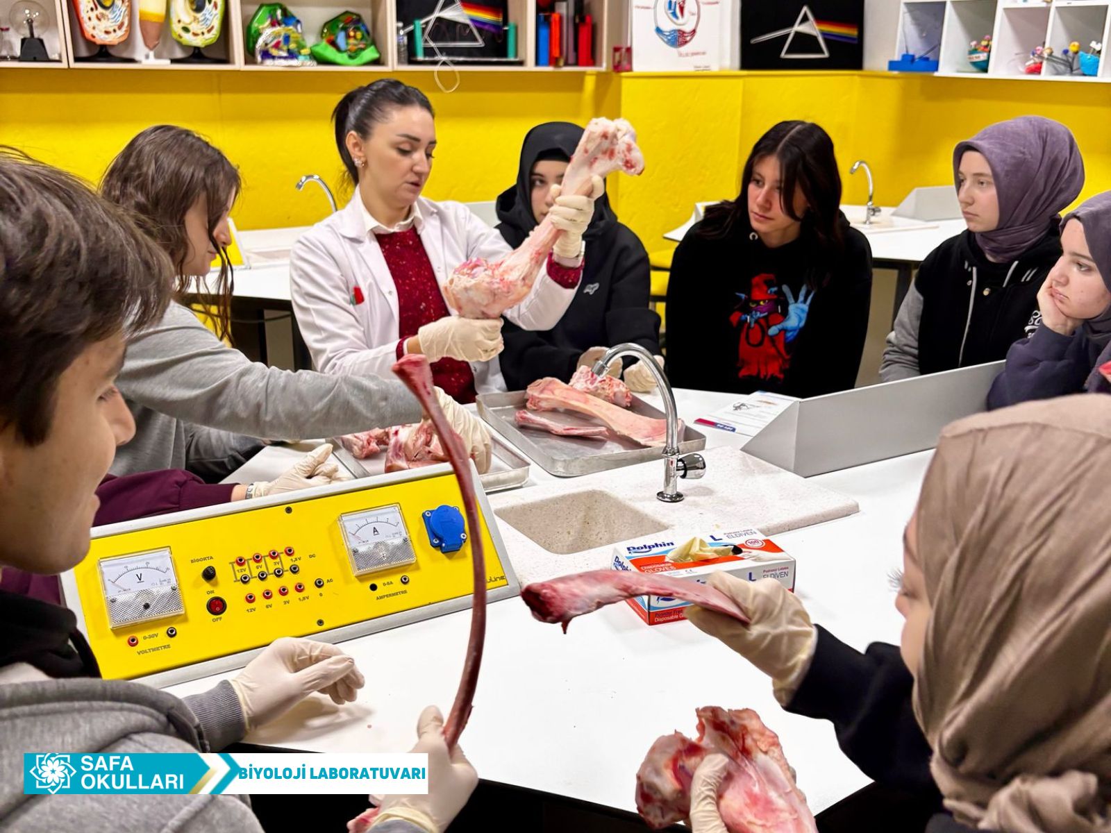 DESTEK VE HAREKET SİSTEMİ