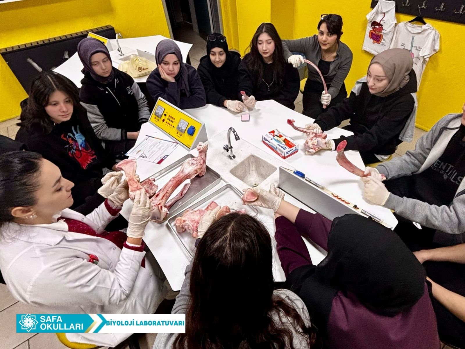 DESTEK VE HAREKET SİSTEMİ