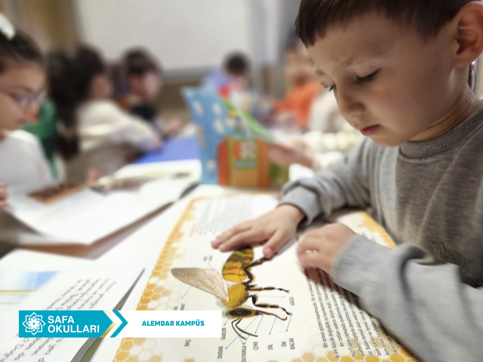 KÜTÜPHANE GEZİMİZ