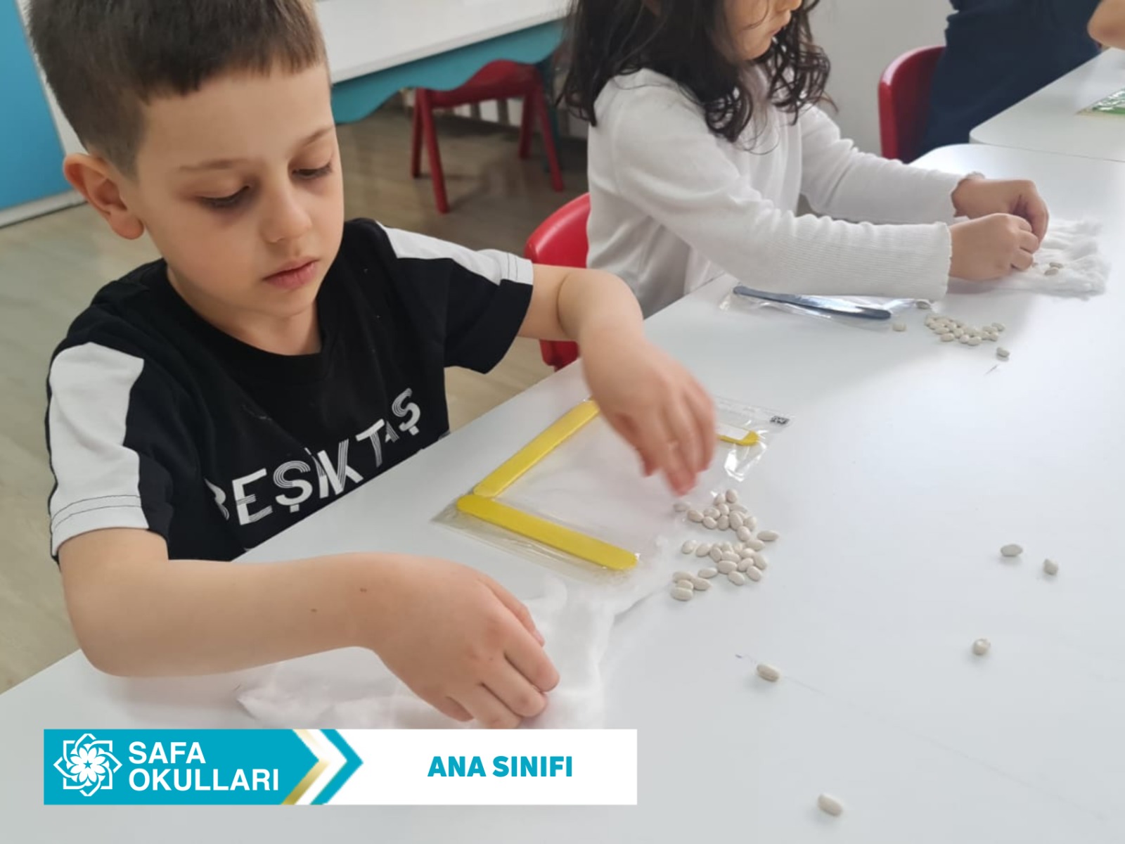 FASULYELERİMİZ MUTFAK YOLUNDA