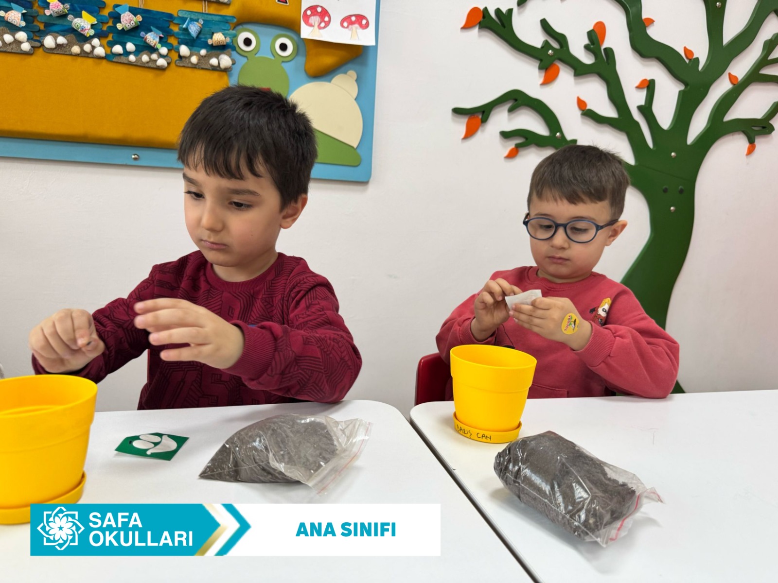 FASULYELERİMİZ MUTFAK YOLUNDA