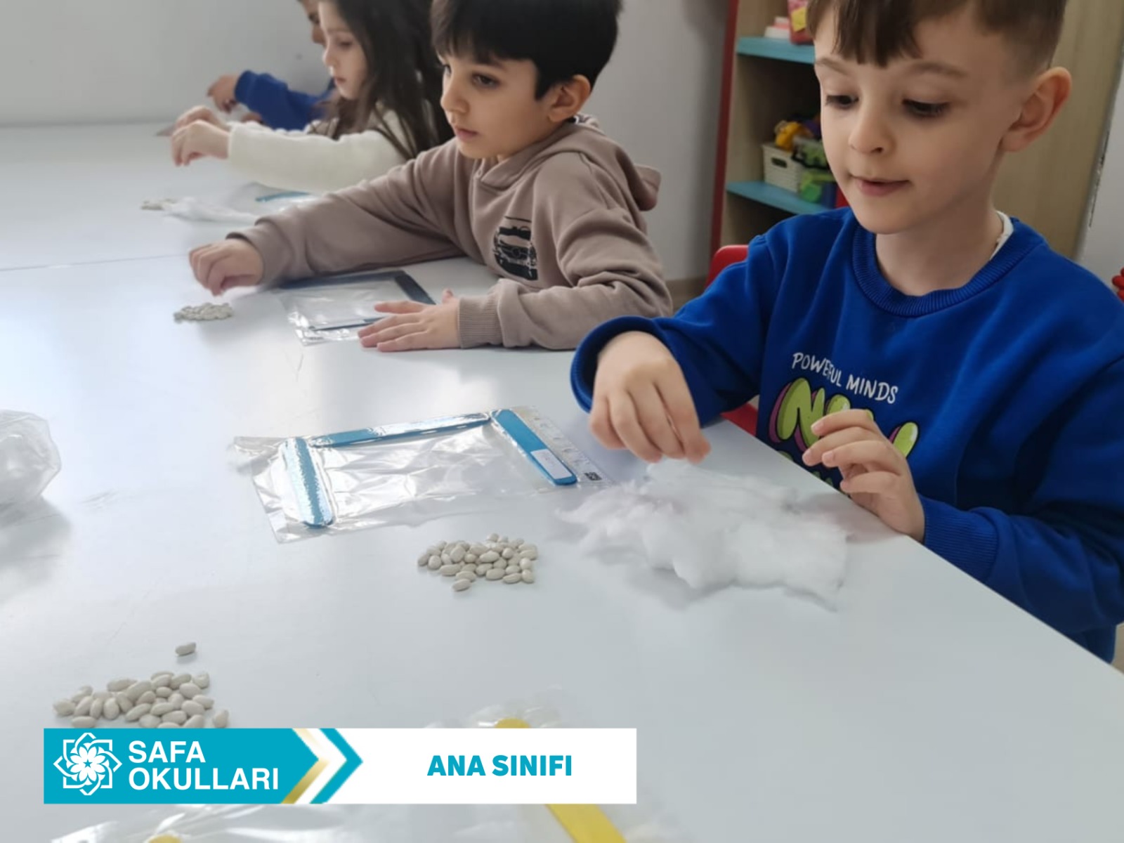 FASULYELERİMİZ MUTFAK YOLUNDA