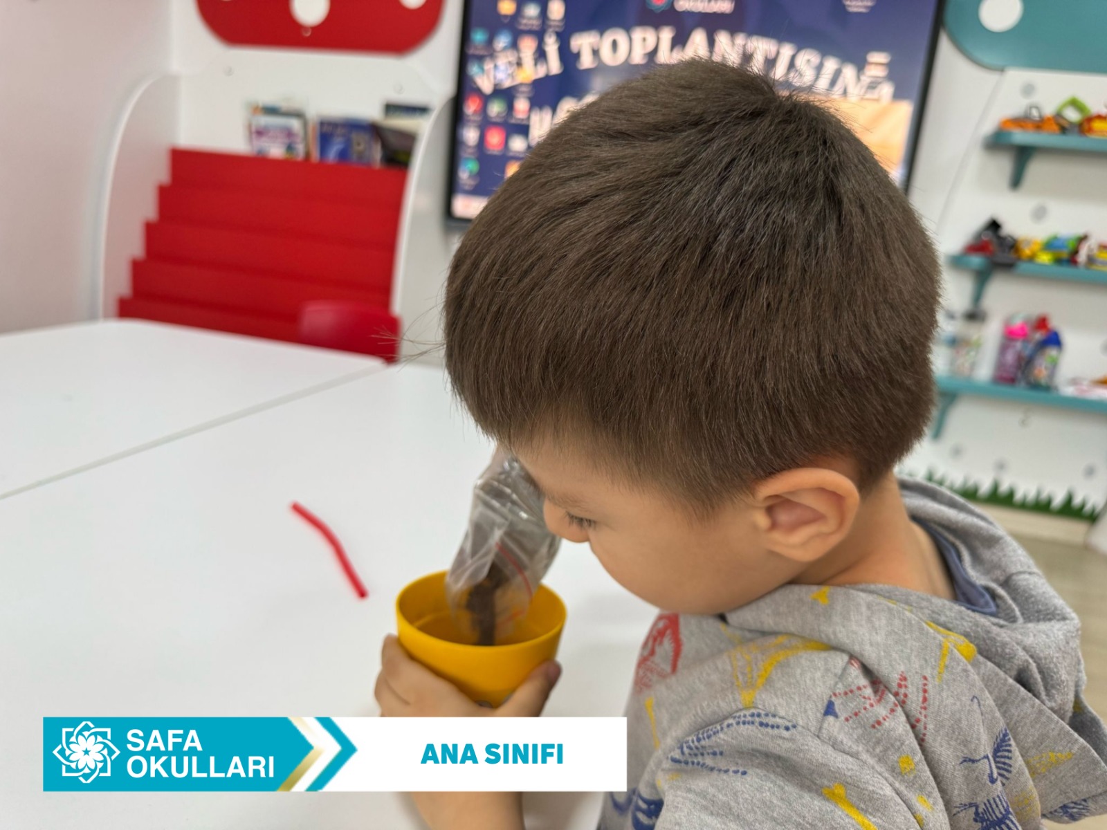 FASULYELERİMİZ MUTFAK YOLUNDA