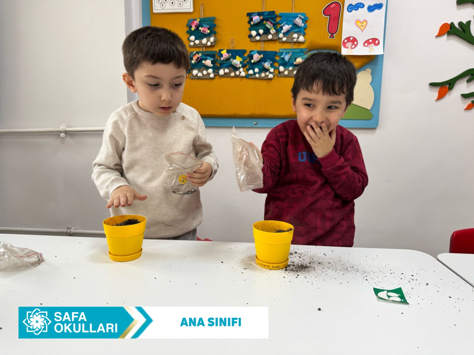 FASULYELERİMİZ MUTFAK YOLUNDA