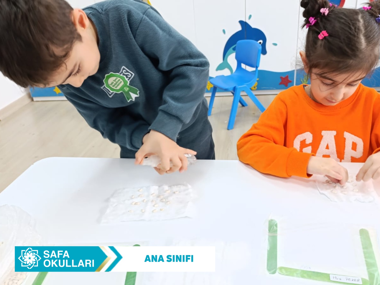 FASULYELERİMİZ MUTFAK YOLUNDA