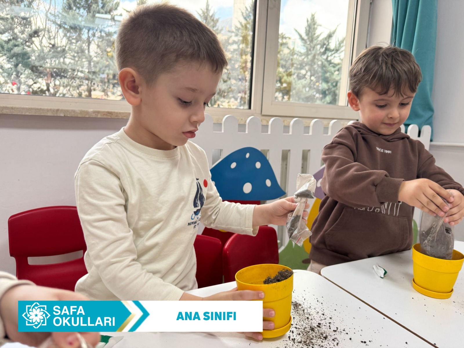 FASULYELERİMİZ MUTFAK YOLUNDA