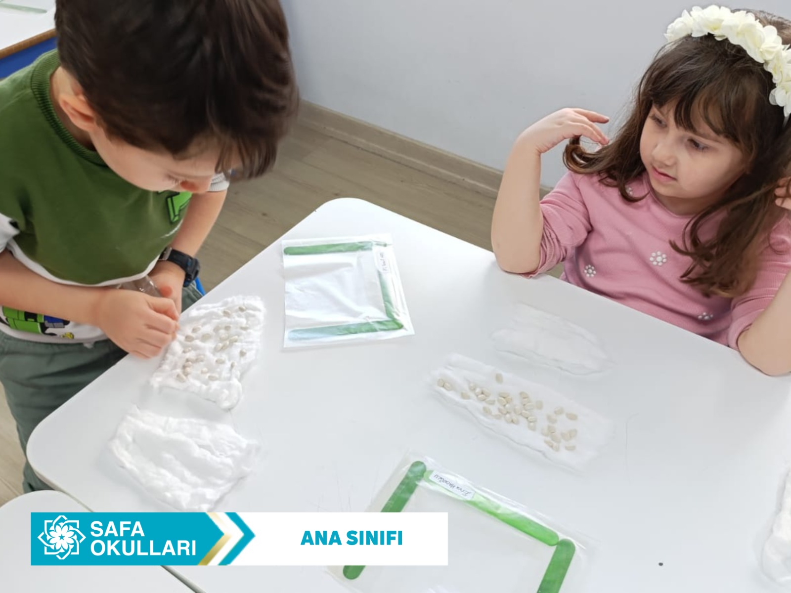 FASULYELERİMİZ MUTFAK YOLUNDA