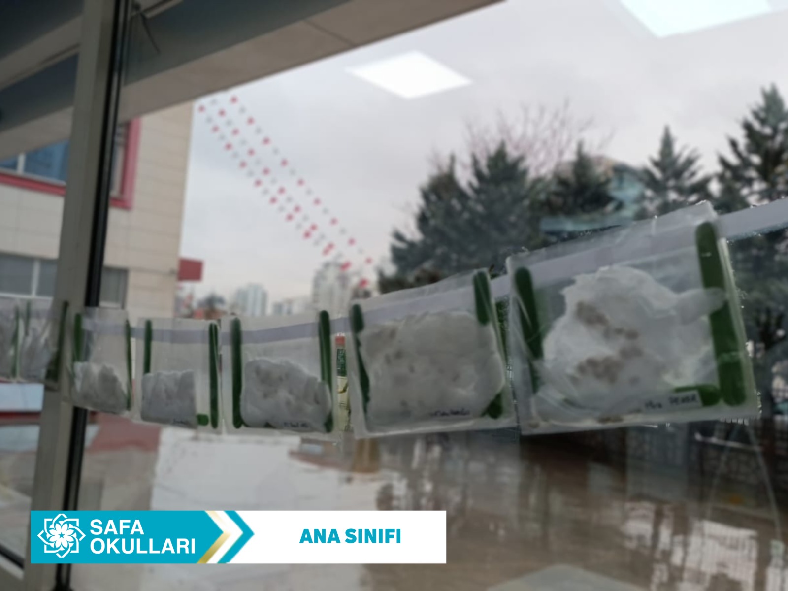 FASULYELERİMİZ MUTFAK YOLUNDA