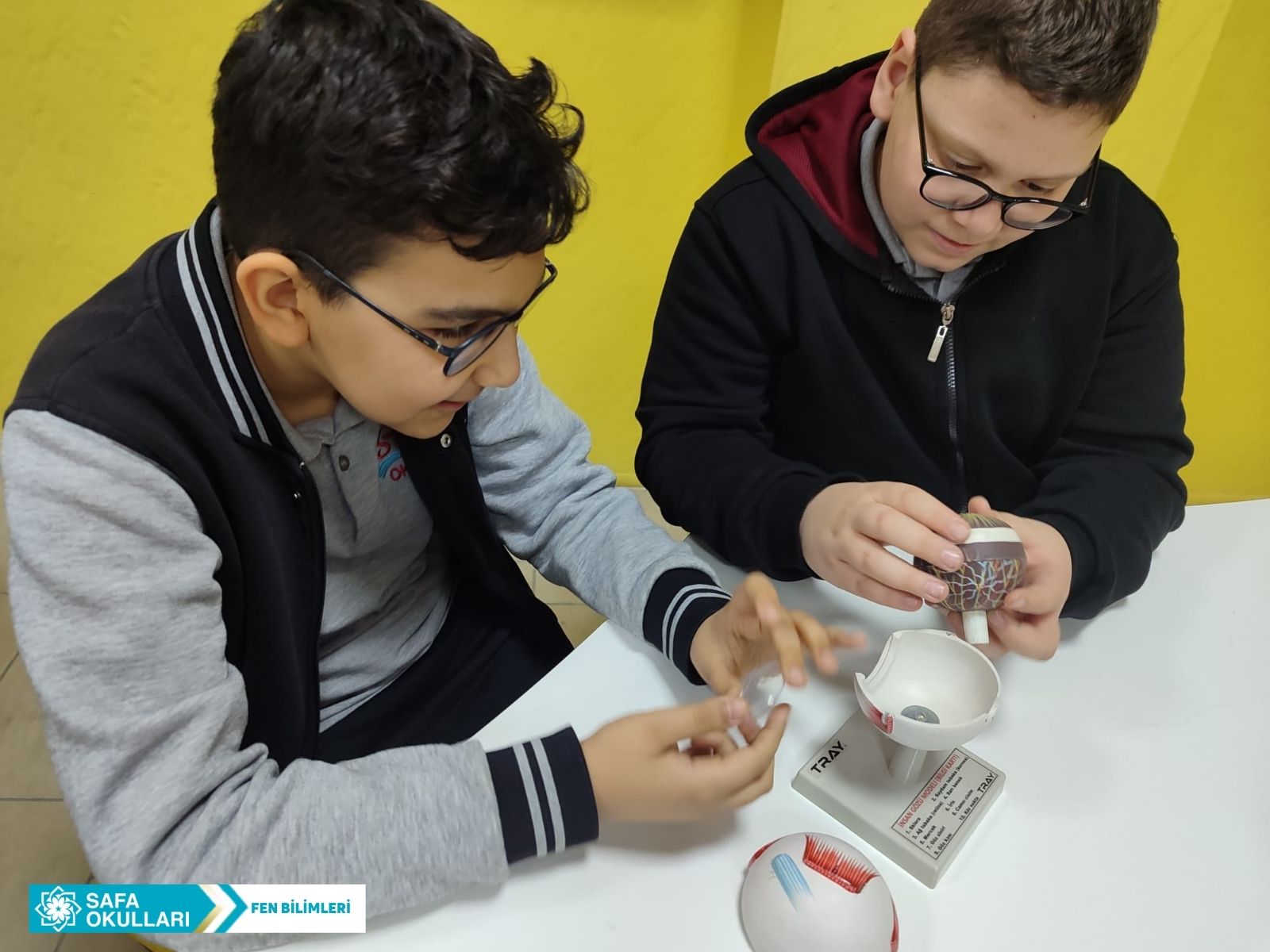 FEN BİLİMLERİ DERSİ