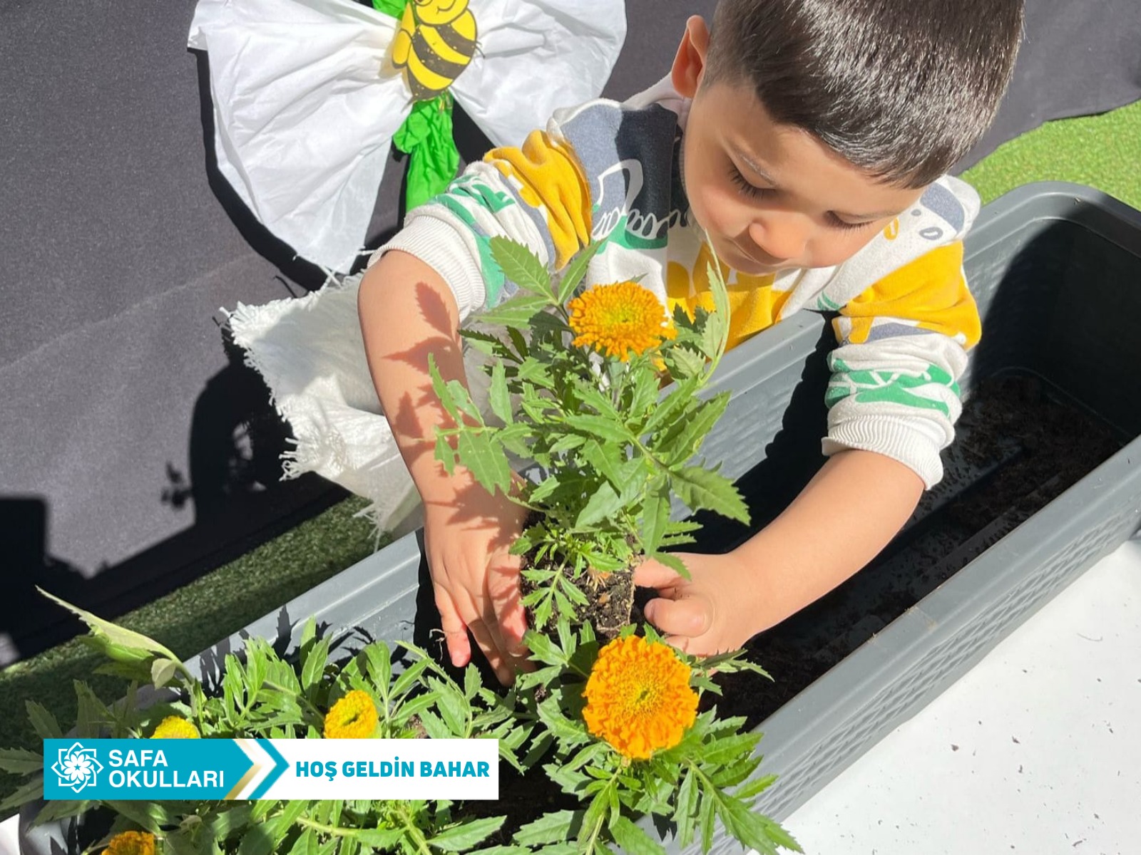 HER BAHAR BİR ÇİÇEKLE BAŞLAR