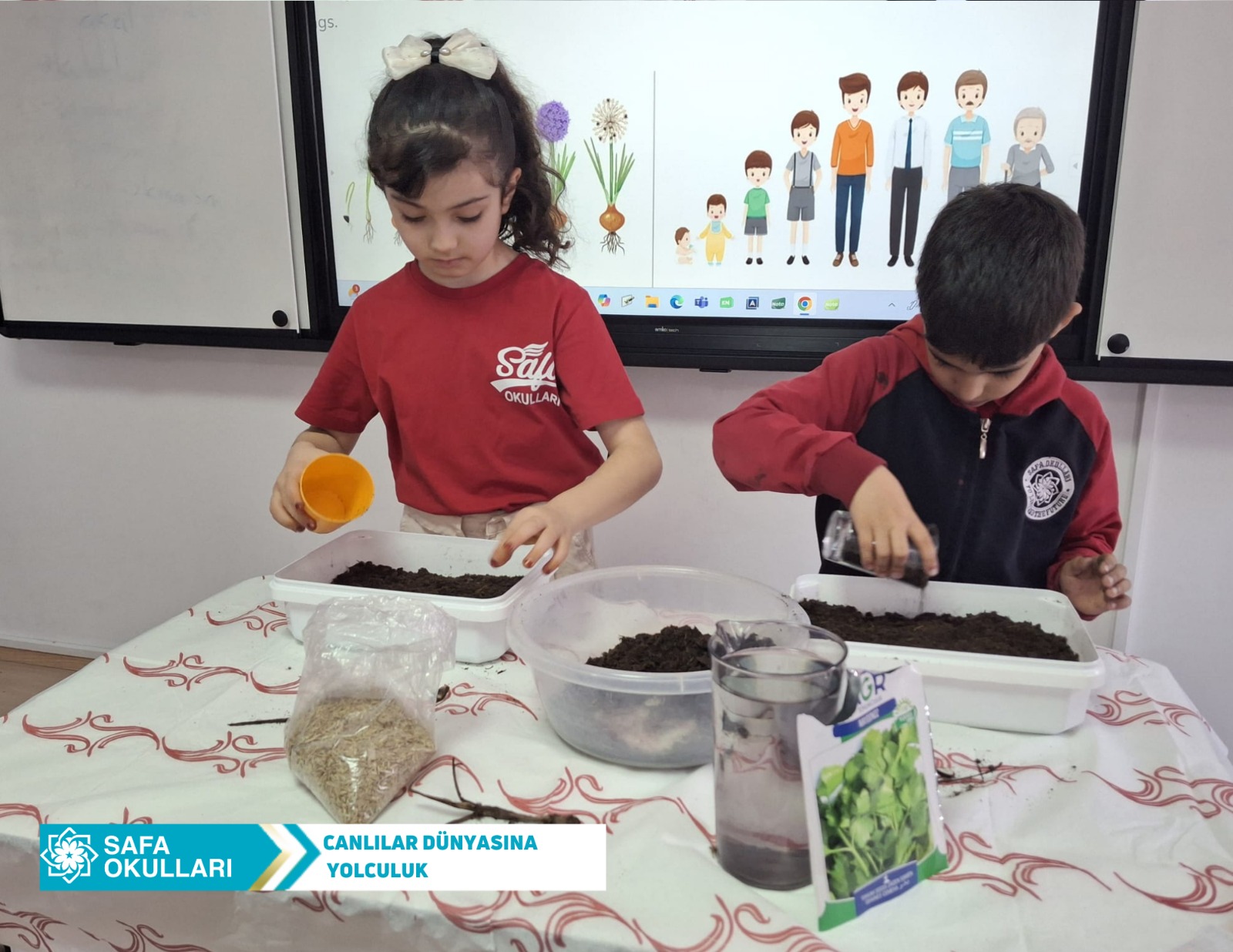 FEN BİLİMLERİ DERSİ