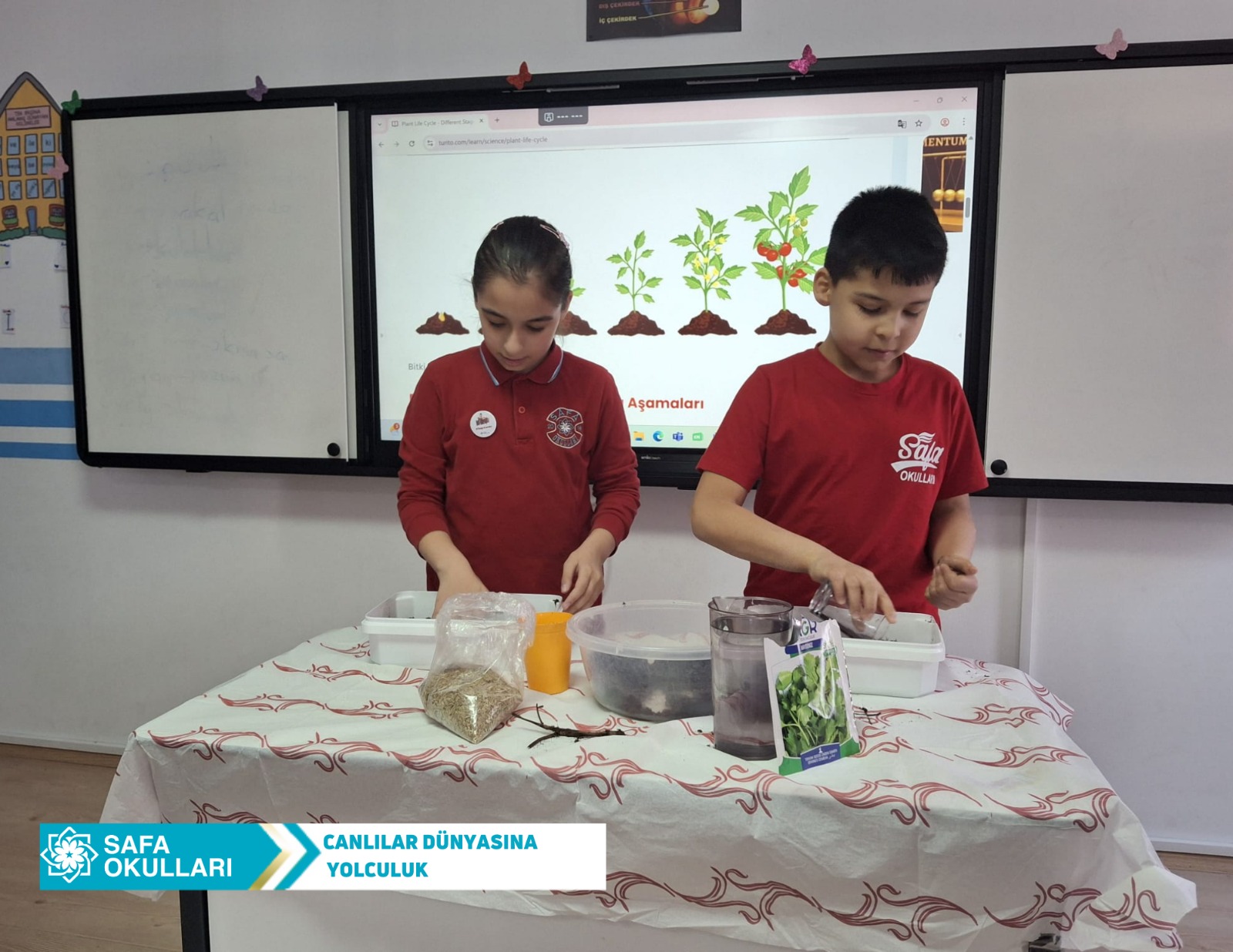 FEN BİLİMLERİ DERSİ