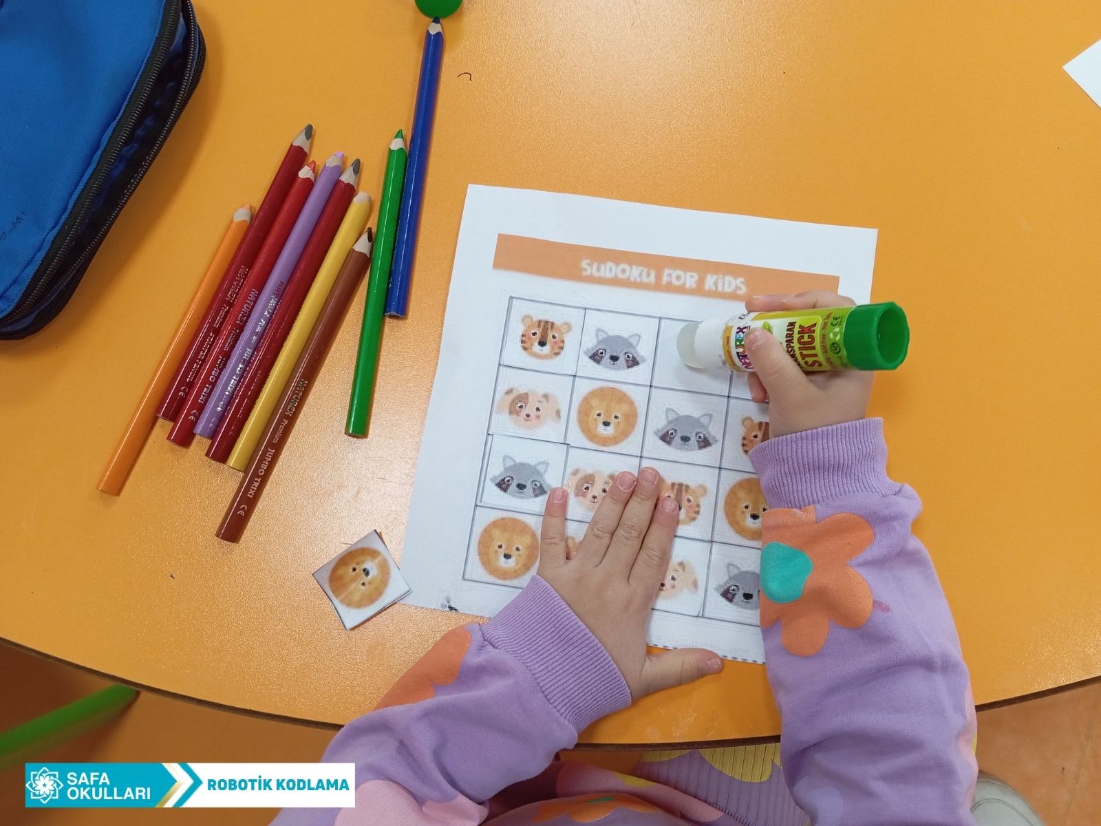 SUDOKU ETKİNLİĞİ