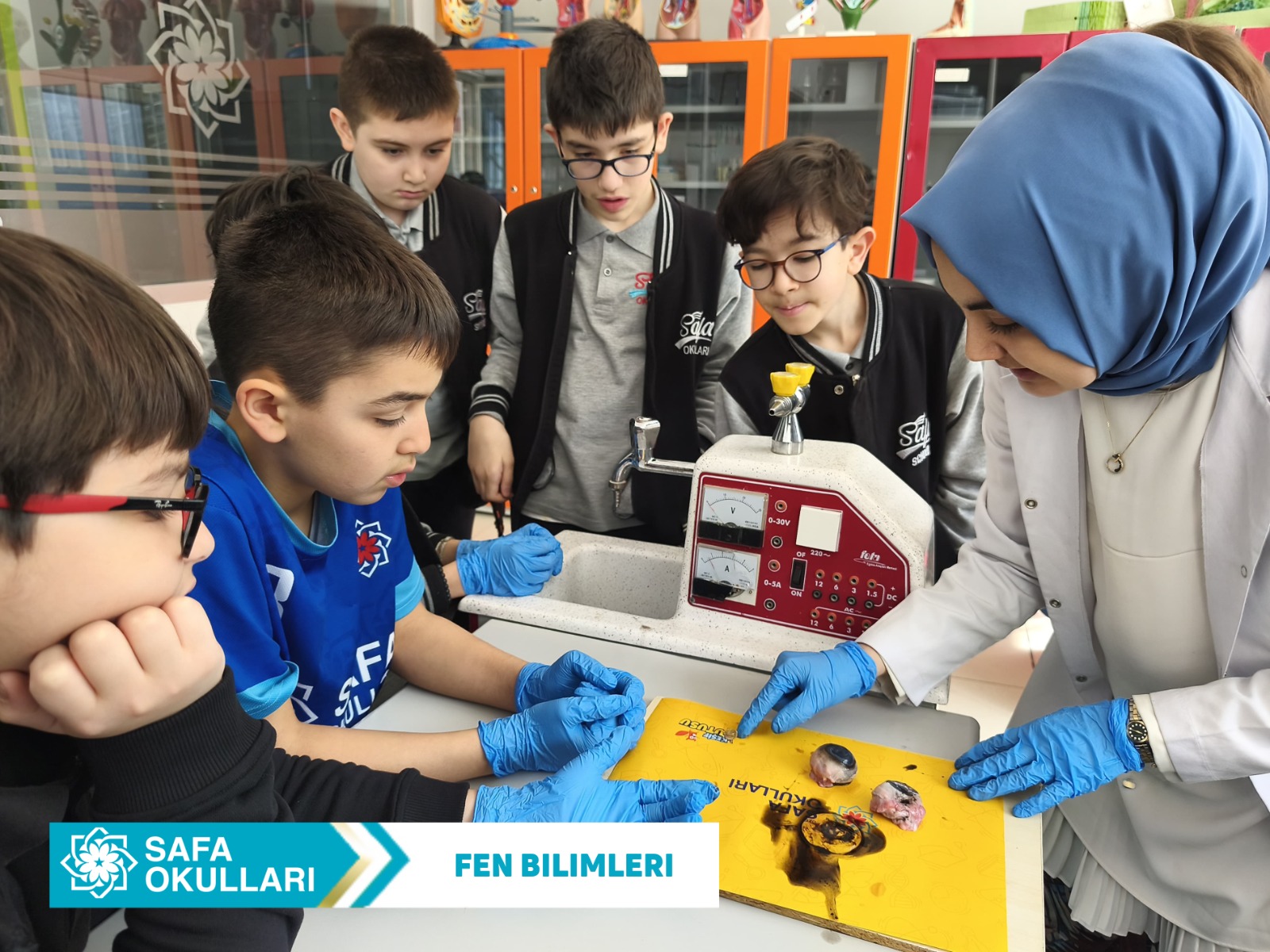 FEN BİLİMLERİ DERSİ