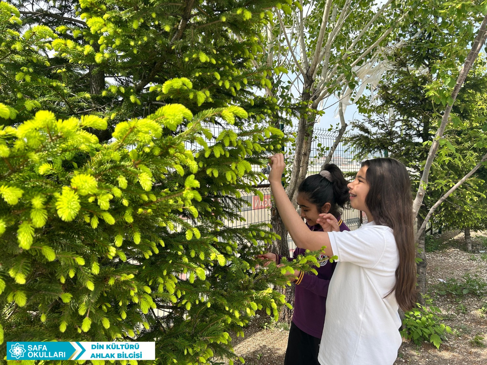 DOĞAYLA BÜTÜNLEŞEN DEĞERLER DERSİ