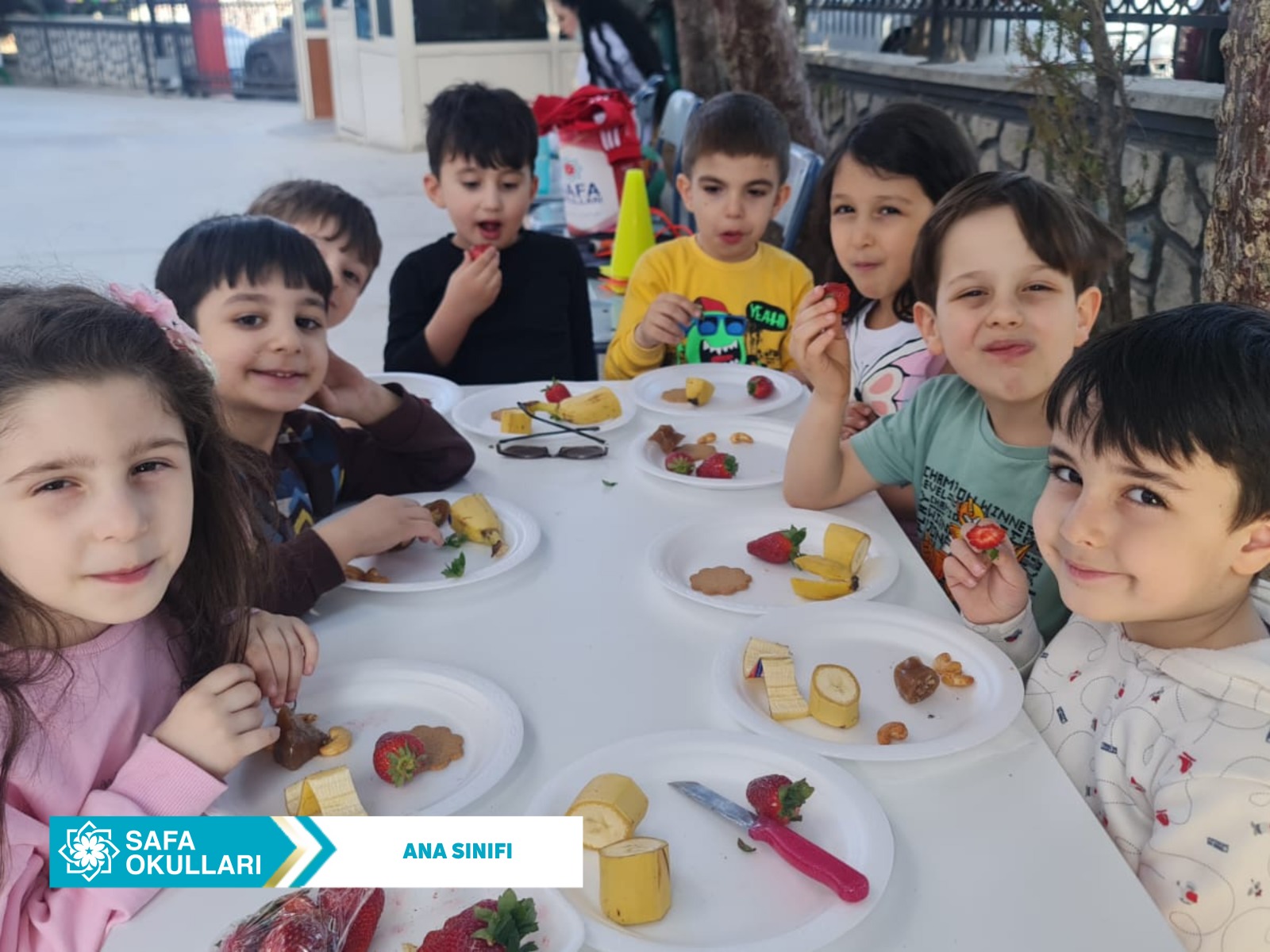 ANA SINIFI PARKTAYSA