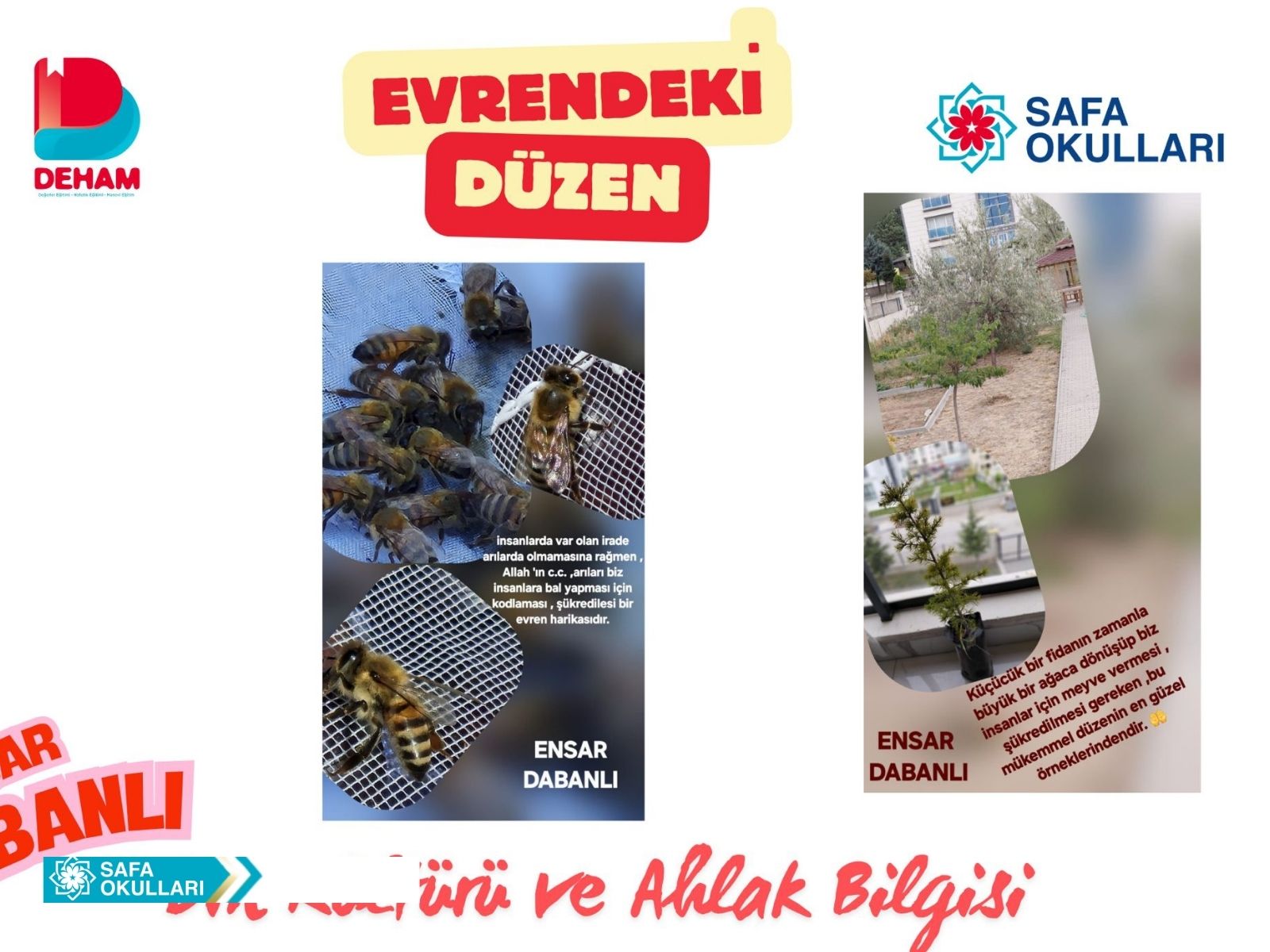 EVRENDEKİ DÜZEN