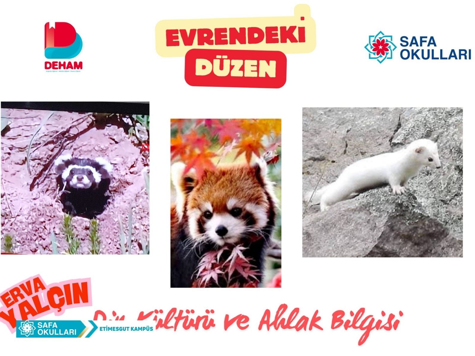 EVRENDEKİ DÜZEN