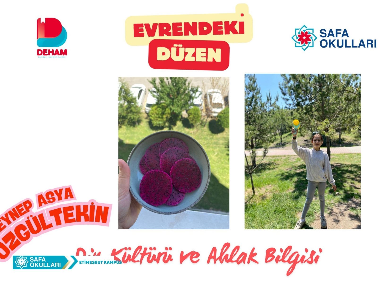 EVRENDEKİ DÜZEN