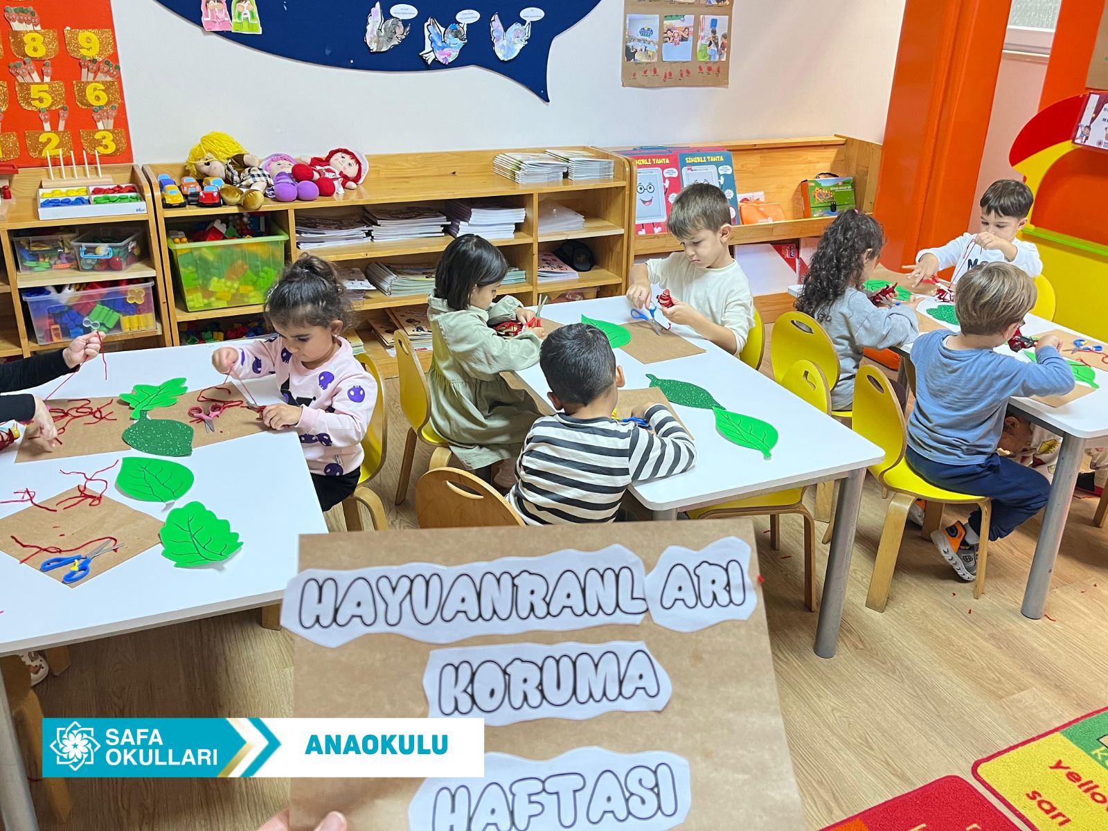 HAYVANLARI KORUMA HAFTASI