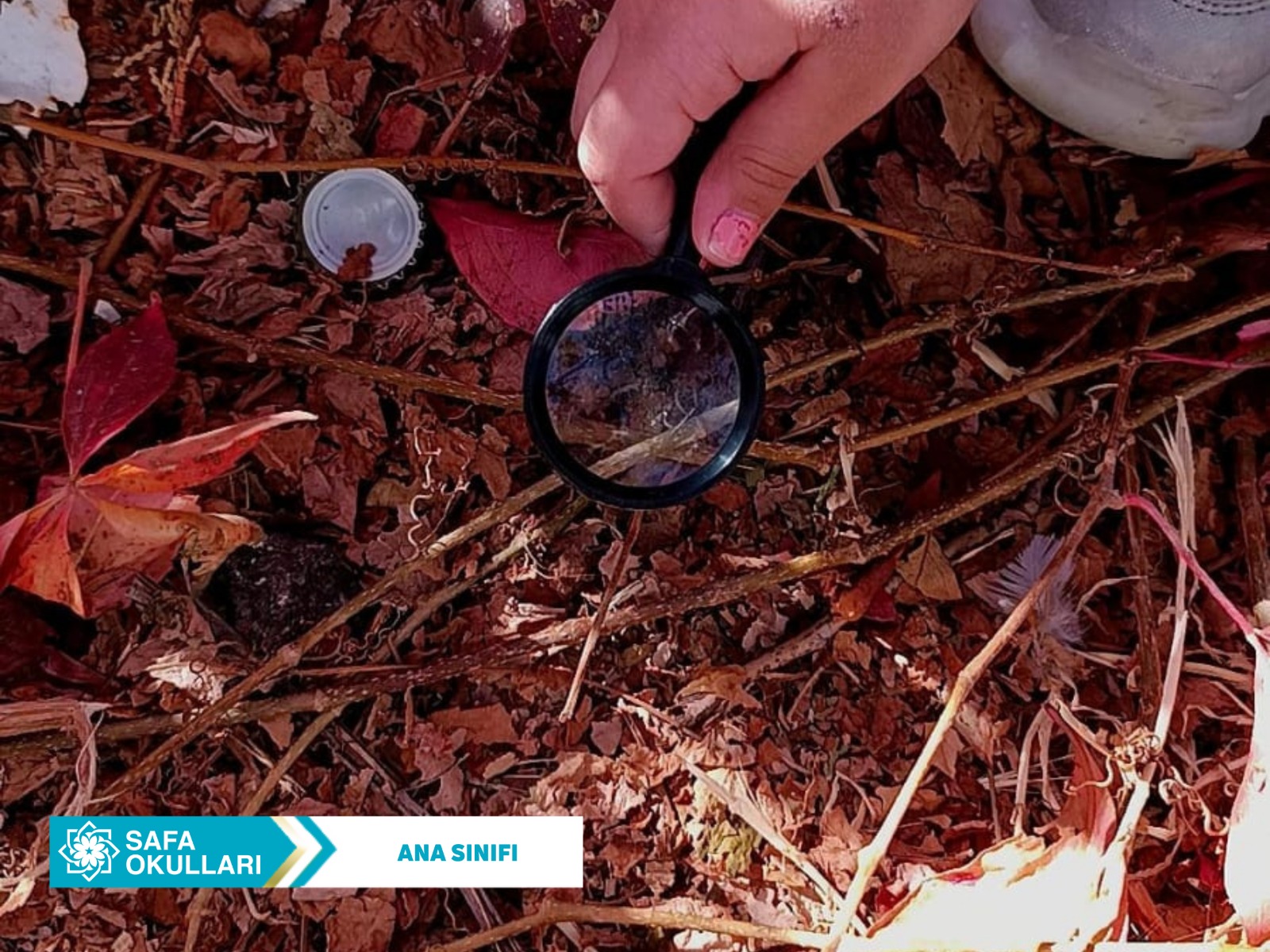 WhatsApp Image 2025-10-09 at 13.24.12 (1)