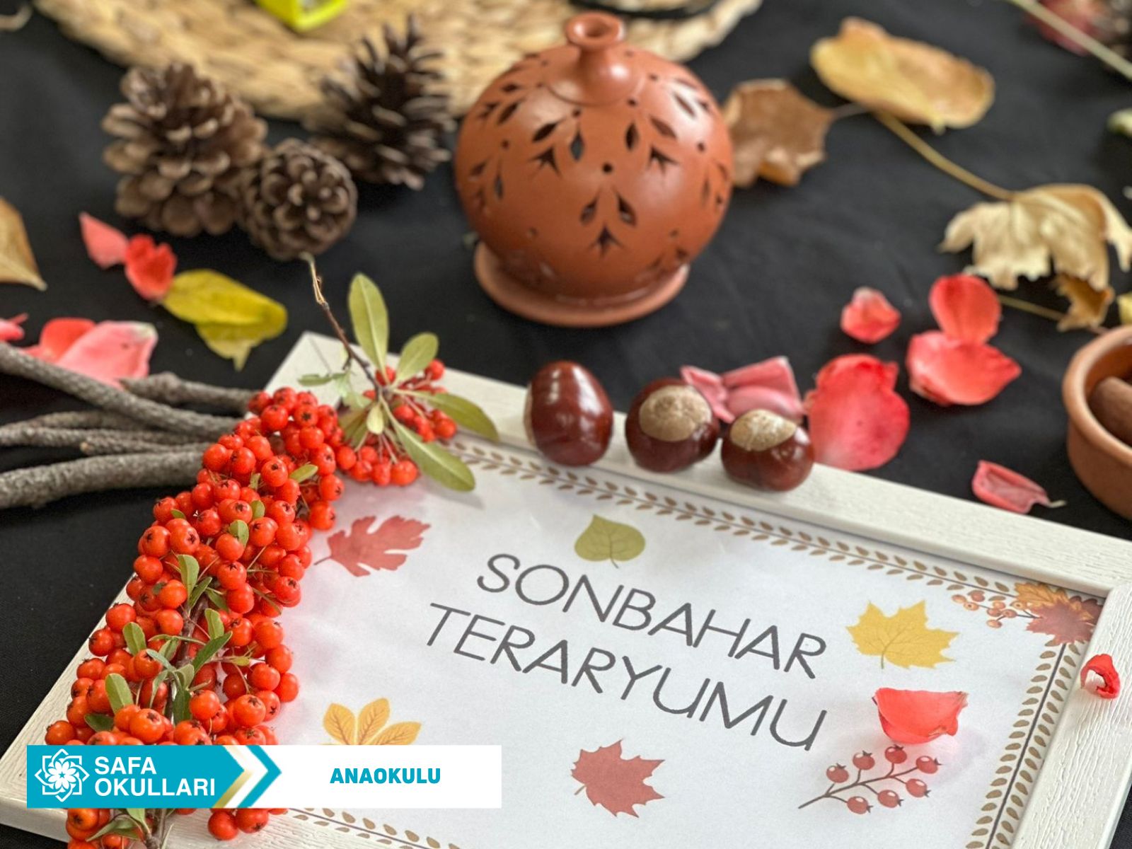 SONBAHAR TEMALI TERARYUM