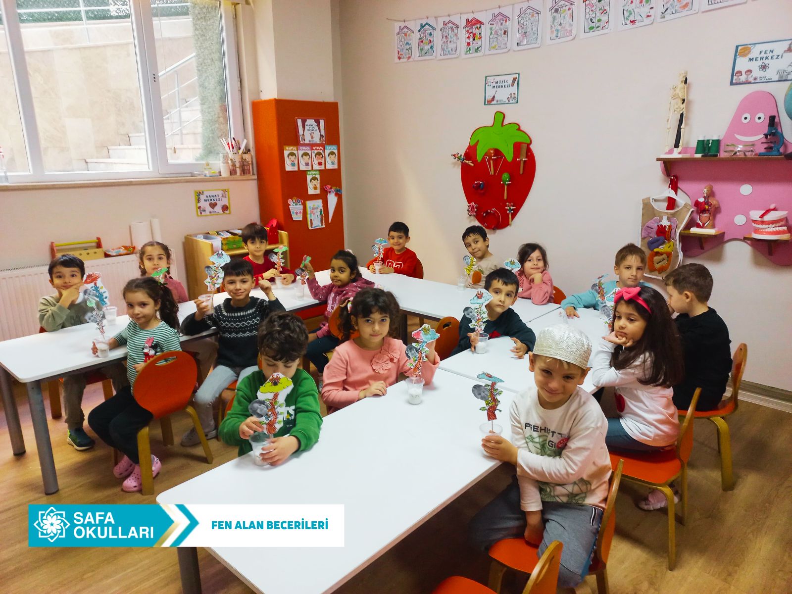 FEN ALAN BECERİLERİ