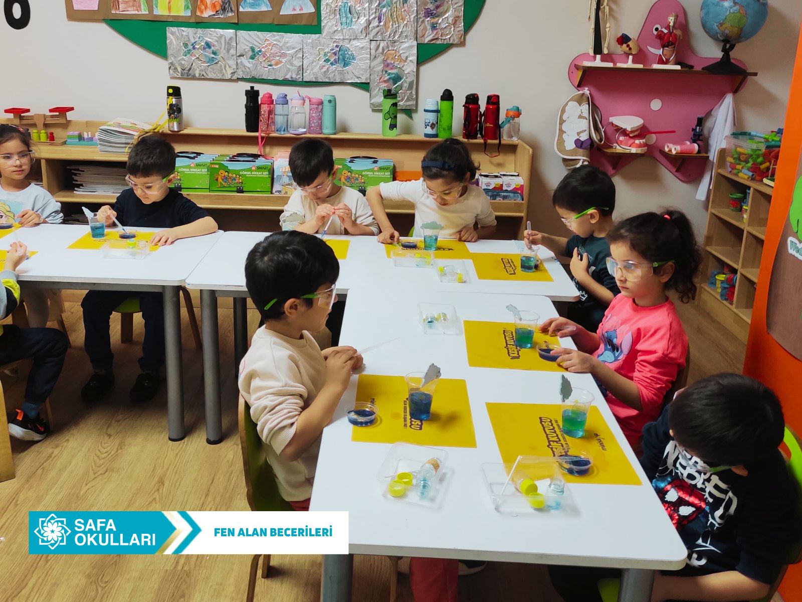 FEN ALAN BECERİLERİ