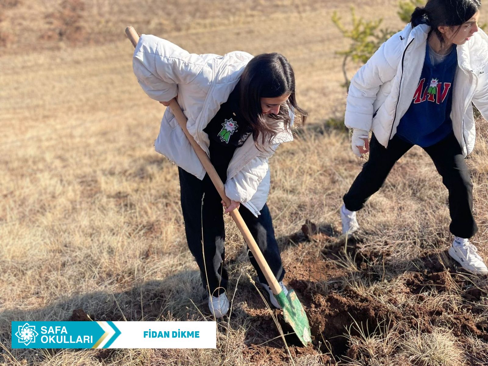 FİDAN DİKİMİ