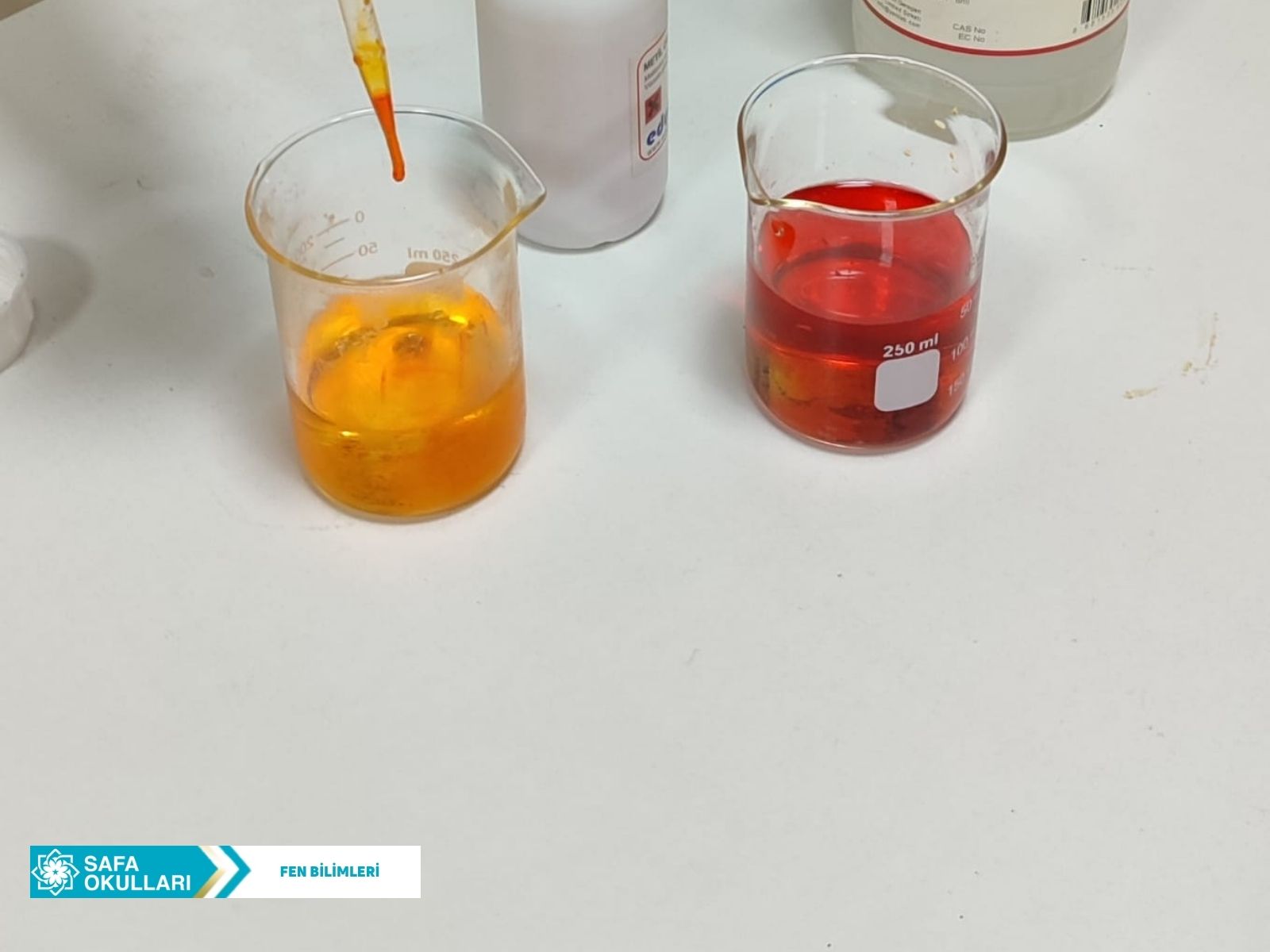 FEN BİLİMLERİ DERSİMİZ