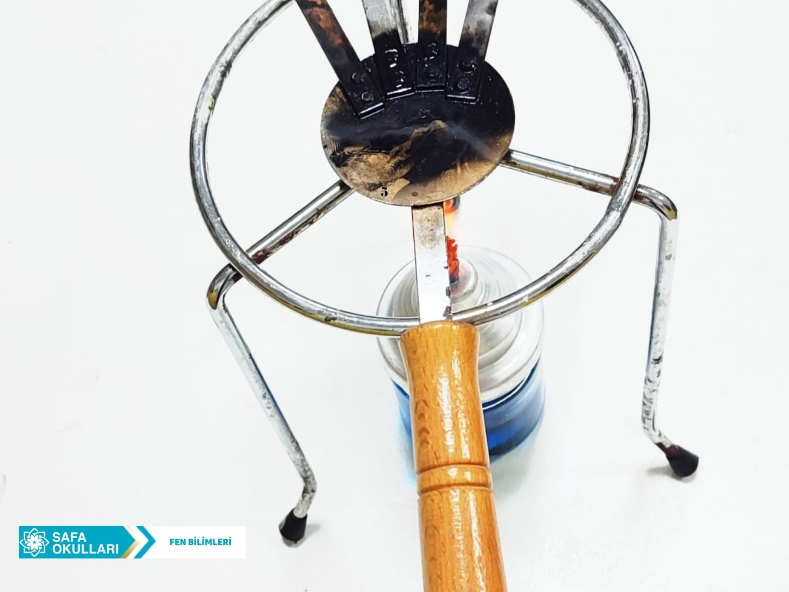 FEN BİLİMLERİ DERSİMİZ