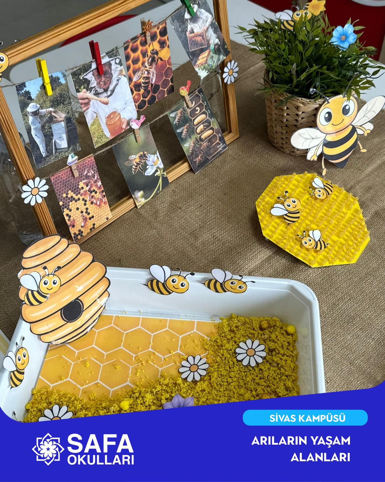 ARILARIN YAŞAM ALANLARI ETKİNLİĞİ