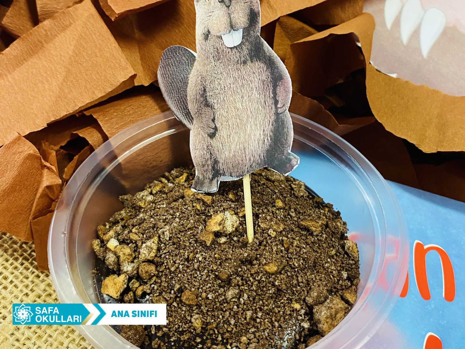 TULU KİTAP-UÇAN KÖSTEBEK KÖSİ