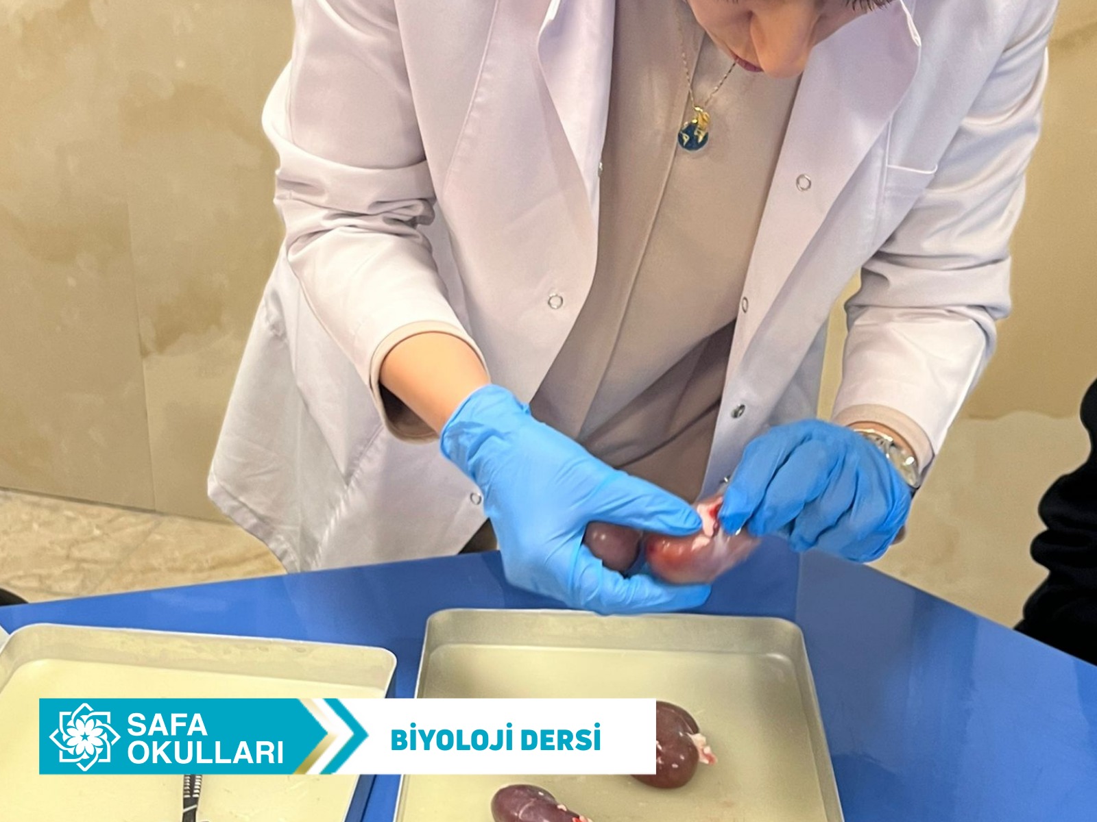  BİLİMİ YAŞAYARAK ÖĞRENDİK