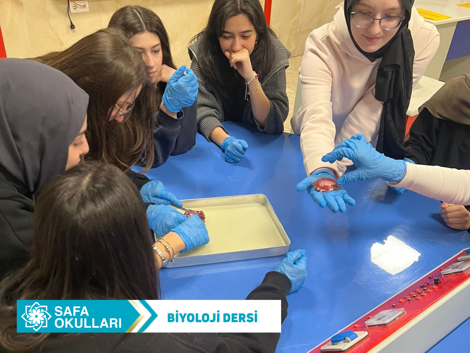  BİLİMİ YAŞAYARAK ÖĞRENDİK