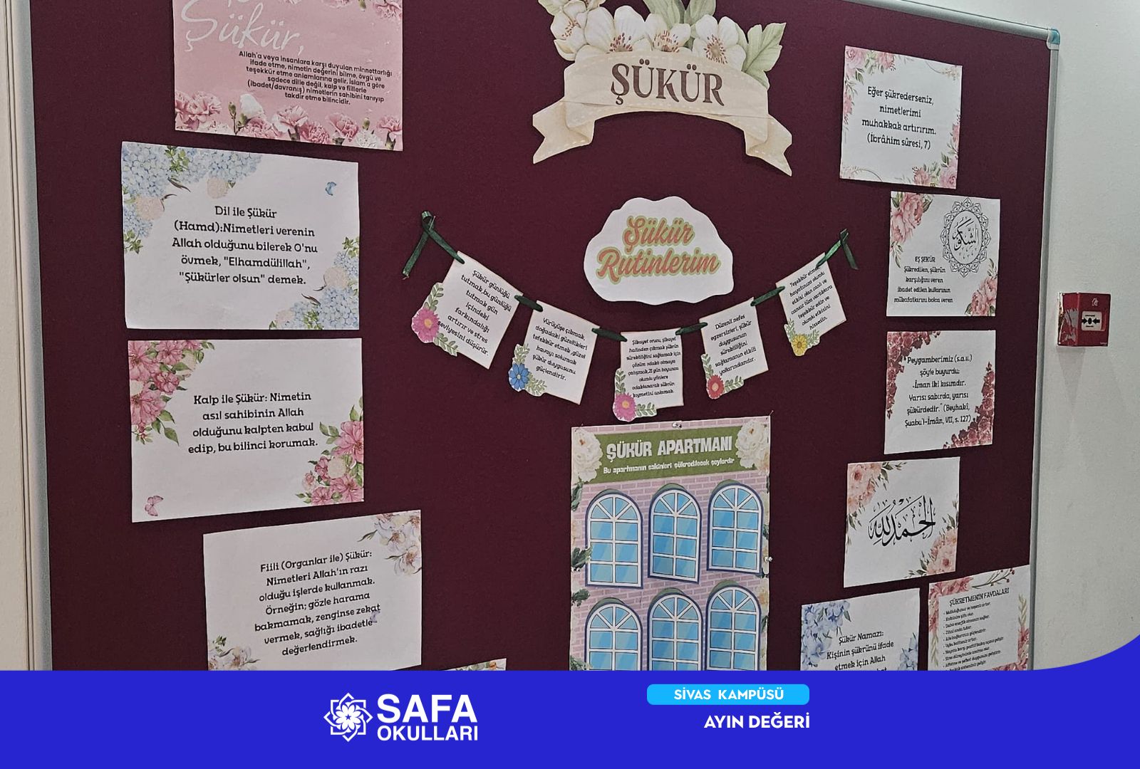 WhatsApp Image 2026-04-03 at 10.31.32